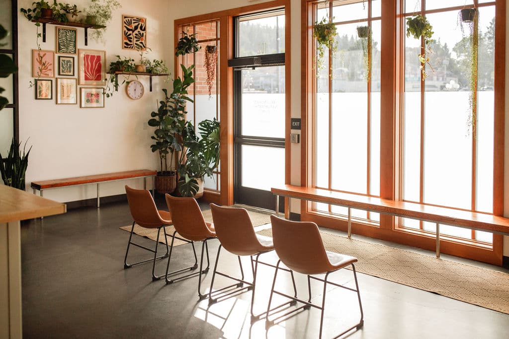 Seating area filled with natural light from large windows and hanging plants